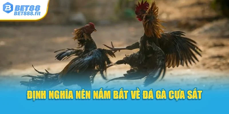 Định nghĩa nên nắm bắt về đá gà cựa sắt