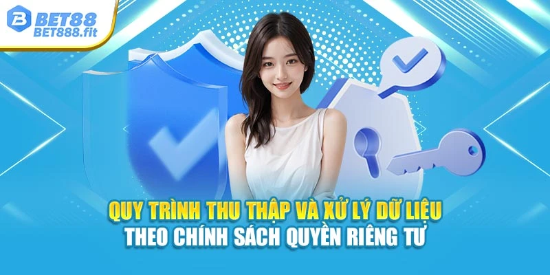 Quy trình thu thập và xử lý dữ liệu theo chính sách quyền riêng tư