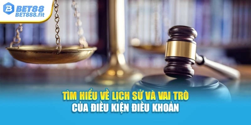 Tìm hiểu về lịch sử và vai trò của điều kiện điều khoản